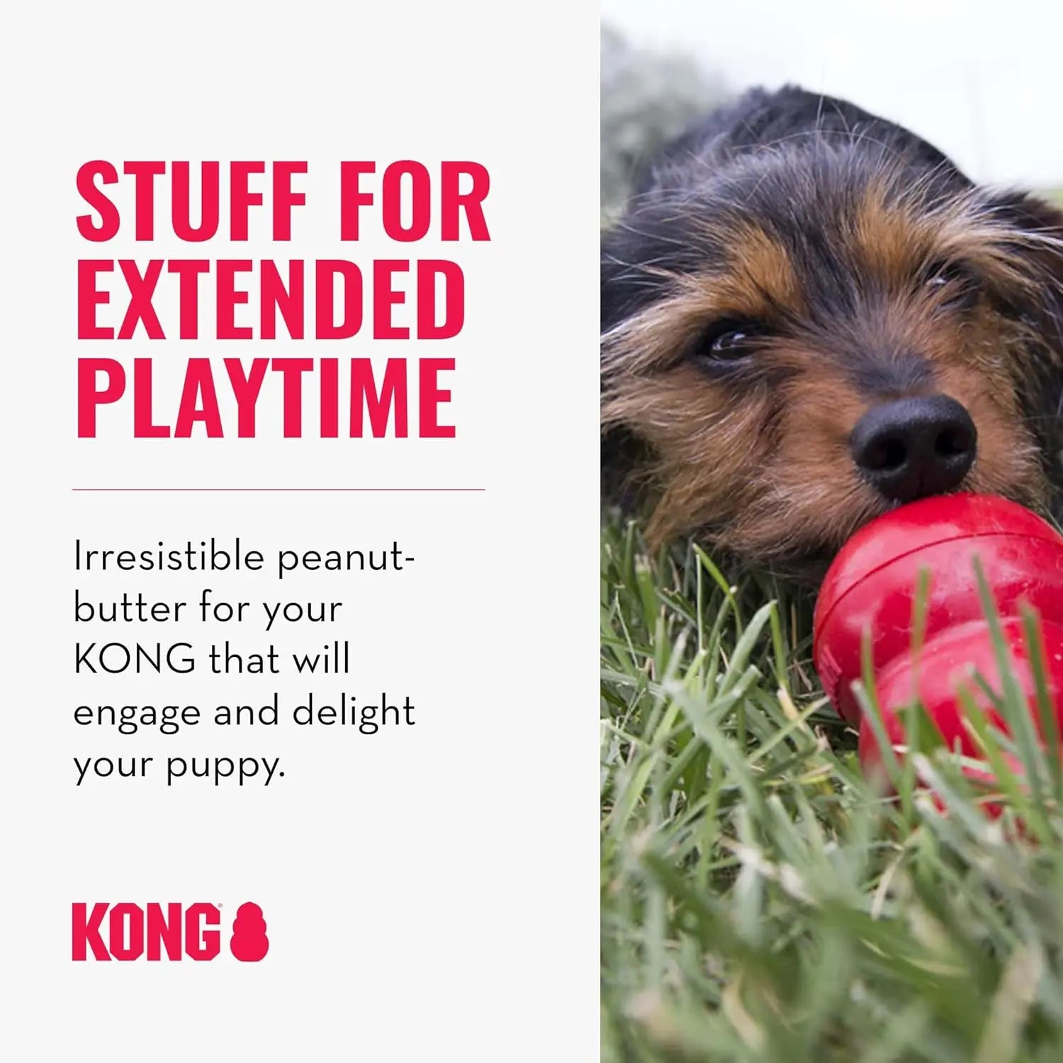 KONG Classic Stuffable Dog Toy with Easy Treat Peanut Butter Spray - Fetch & Chew Toy for Dogs - with Dog Toy Filler Treat - for Hours of Fun & Enrichment - 8 Oz